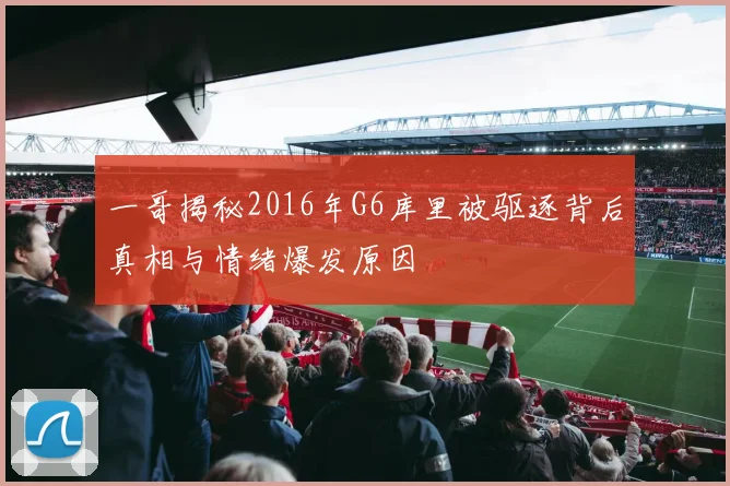一哥揭秘2016年G6库里被驱逐背后真相与情绪爆发原因