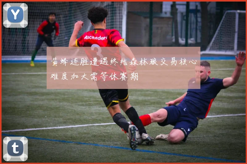 黄蜂连胜遭遇终结森林狼交易核心难度加大需等休赛期