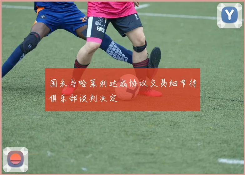 国米与哈莱利达成协议交易细节待俱乐部谈判决定