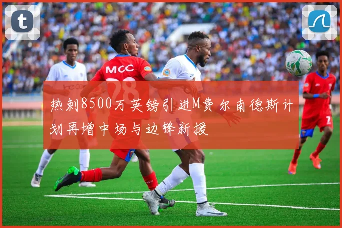 热刺8500万英镑引进M费尔南德斯计划再增中场与边锋新援