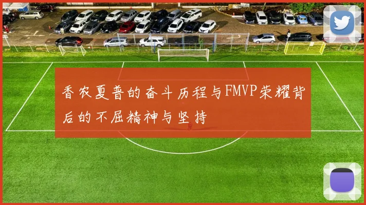 香农夏普的奋斗历程与FMVP荣耀背后的不屈精神与坚持